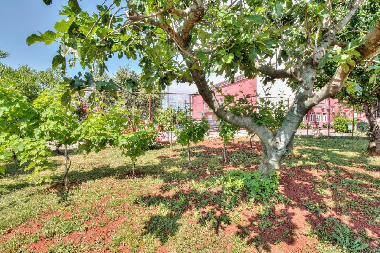 Apartments El Faro سافودغيا المظهر الخارجي الصورة